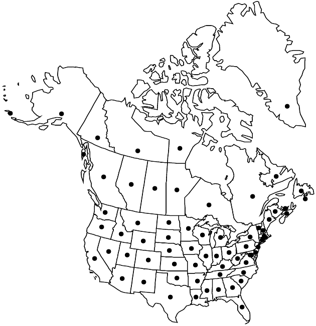 Dandelion distribution
